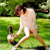 nice cat