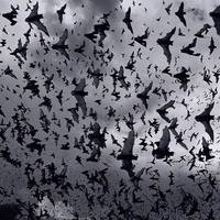 dry run for hallows eve