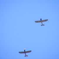 Baron Blue two