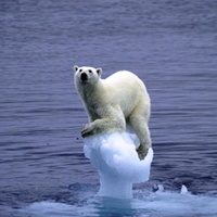 Proof there's no global warming problem
