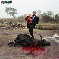 bull guts.....mmmmm