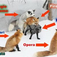 Browser hunching