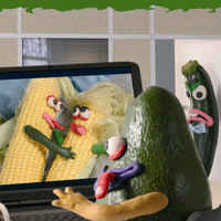 Corn613.net ?