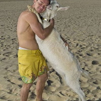 Goat Love