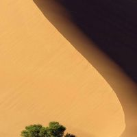 Dunes.
