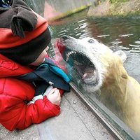 I can have child for lunch?