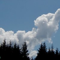 A Message From God . . . . .