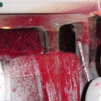 Deer hit