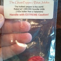 The Ghost, for Kim.