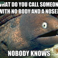Its not my cat...eel