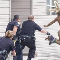 pulse celebrating easter...