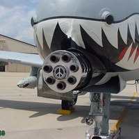 Another warthog...