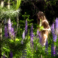 Godiva in the blue bells 2