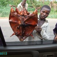wtf is that?!
