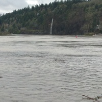 Willamette River