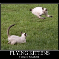 Flying Cats