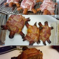 Turtles