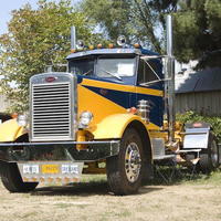 61 Pete