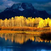fall color