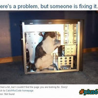 404 error