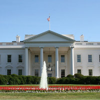test image