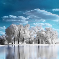ACROSS THE LAKE