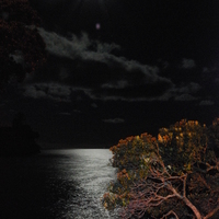 Moonlight on Water