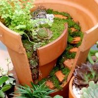 clay pot