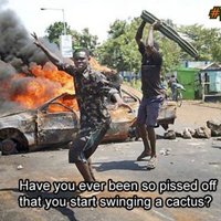 cactus
