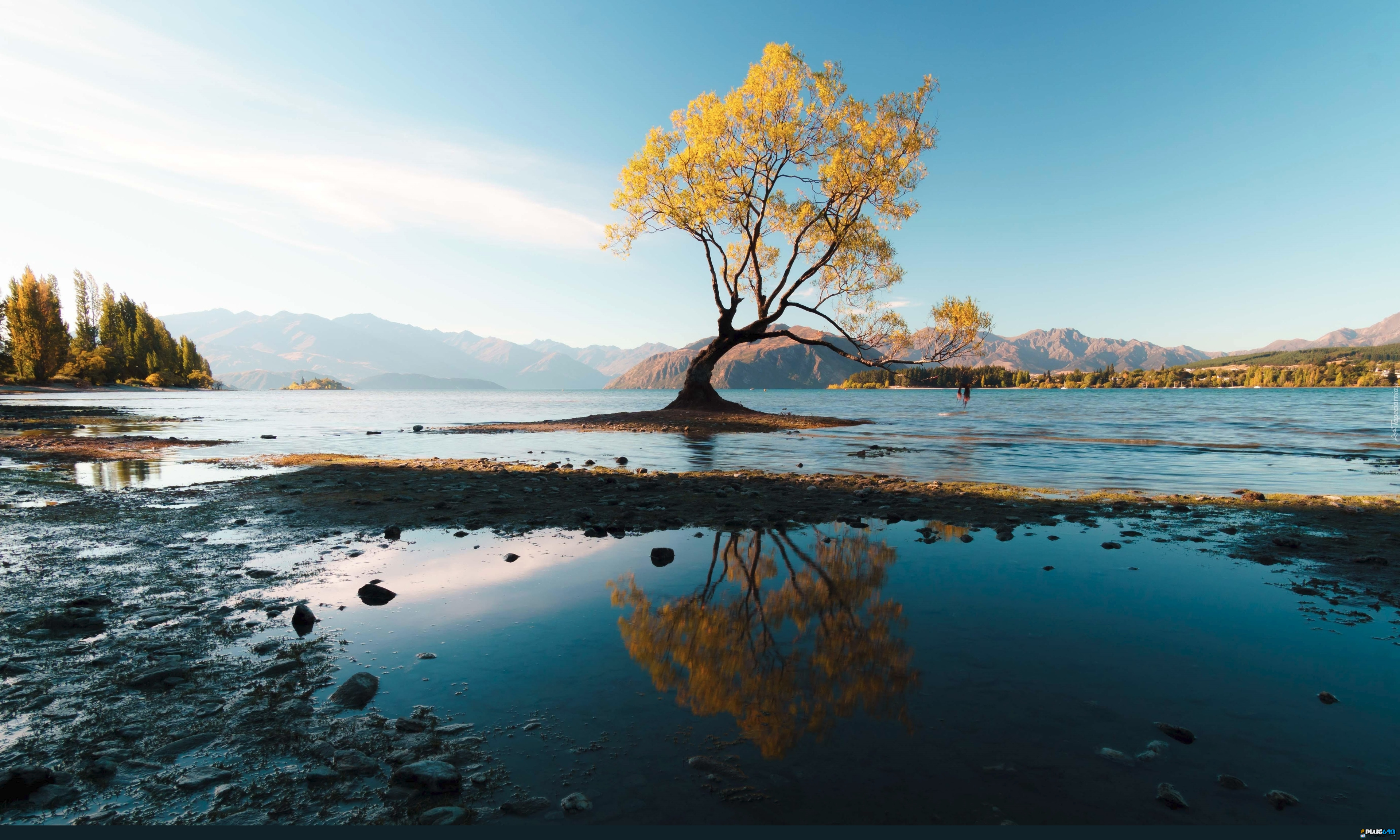 Wallpaper - Lake in NZ 4