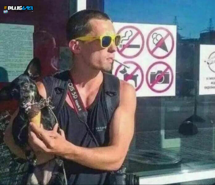 Full rebel