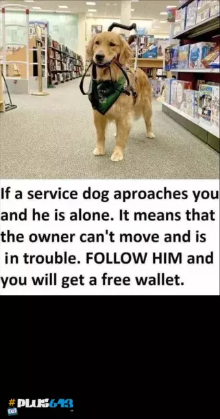 Important life lessons 