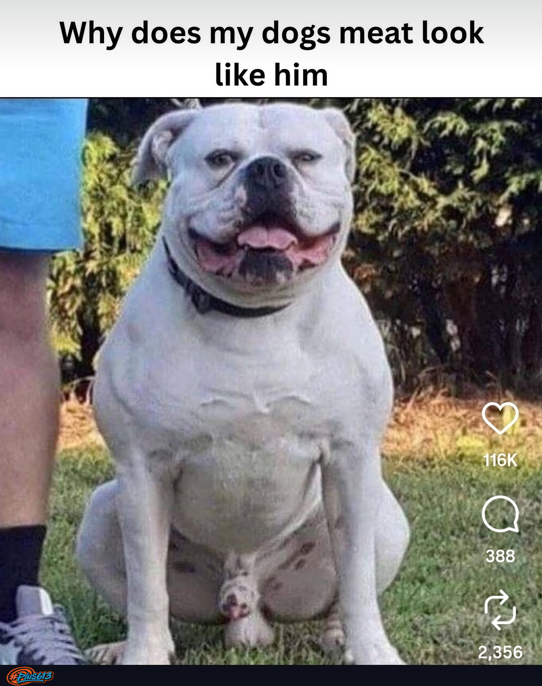 Why...