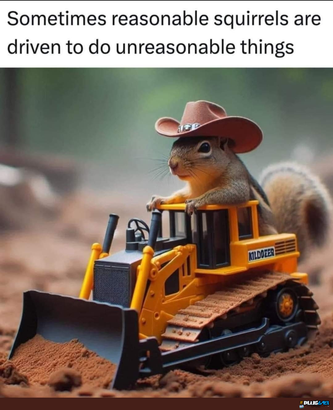 They killed an innocent squirrel. 