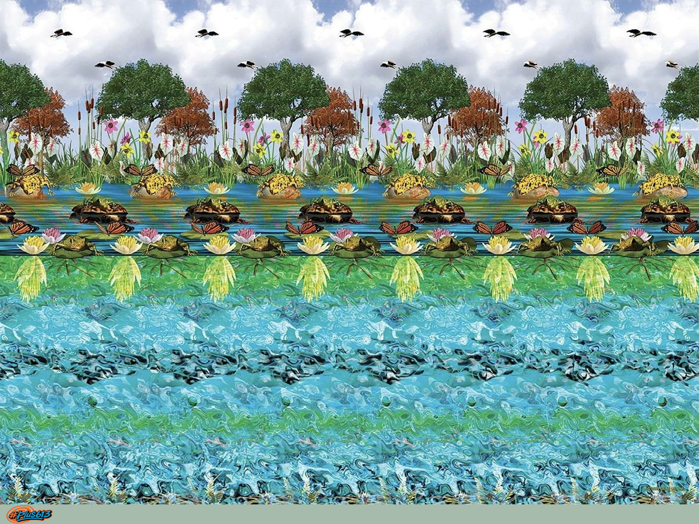 Magic Eye