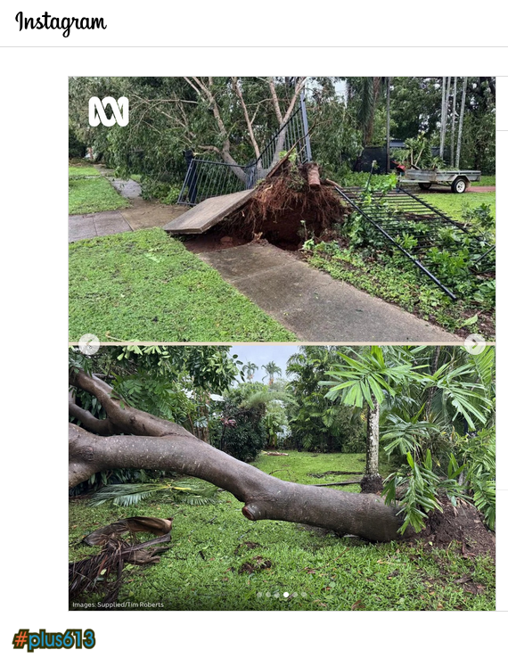 Cyclone fina the morning after