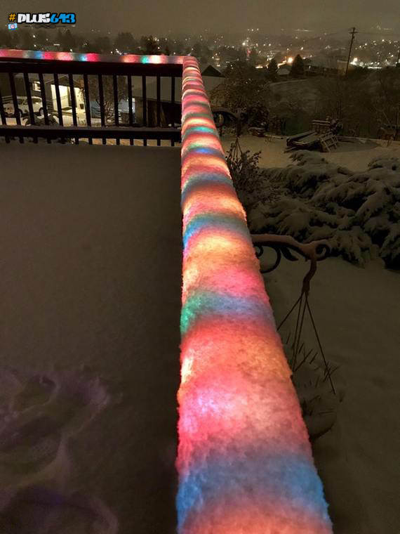 Lights covered in snow