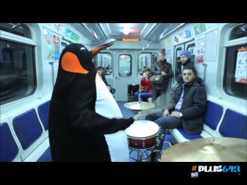 Penguin drumming on the train