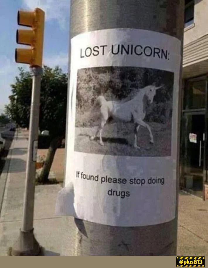 Lost unicorn 