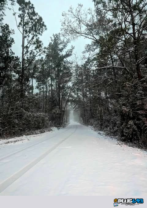 Snow in north Florida