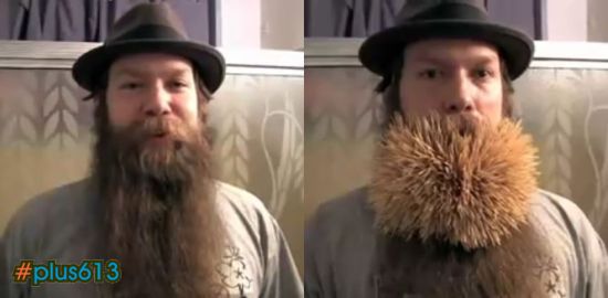 2222 toothpicks in a beard