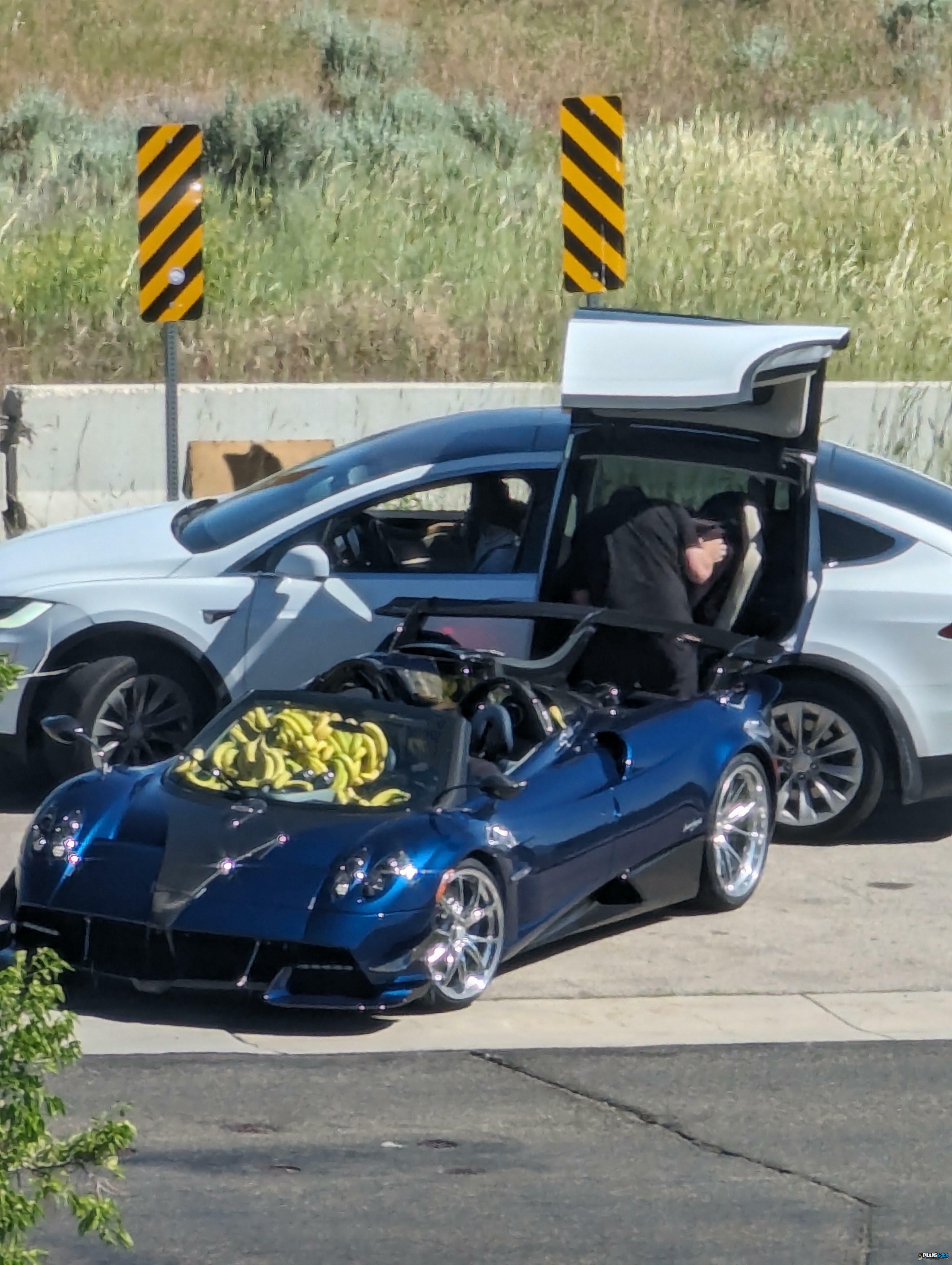 Zonda. Banana for scale.