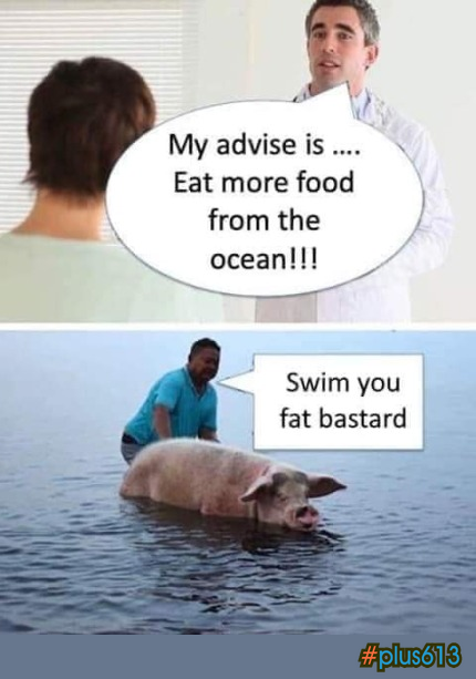 Swim you fat bastard