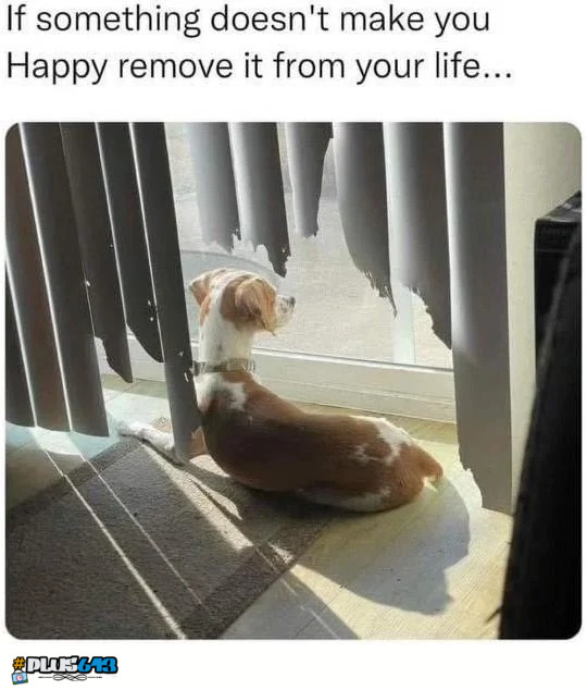 Words to live by