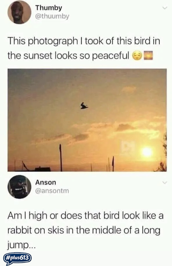 I am also high. And yes. 
