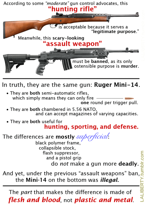 Ruger Mini-14