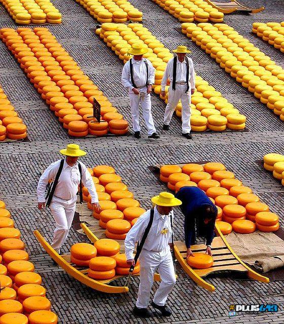 Cheese market in Holland