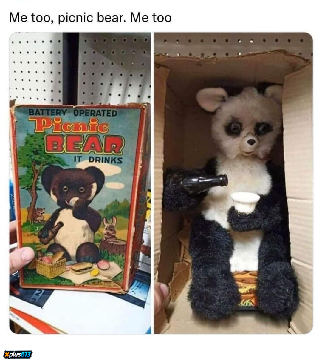 Realistic picnic bear
