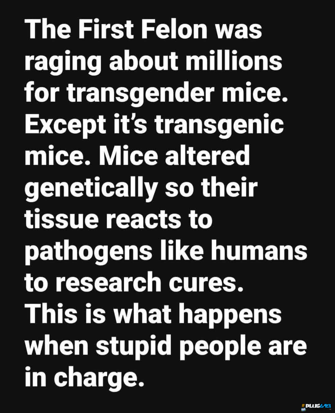 tRaNsGeNdEr MiCe
