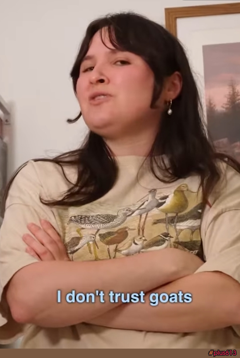 I don't trust cows either